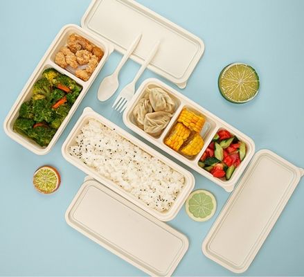 свет 500ml принимает прочь еде пищевого контейнера Degradable майцену для детей и школы