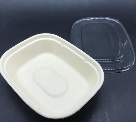 Пищевой контейнер Tableware сахарного тростника формы прямоугольника u Sald био с прозрачной крышкой