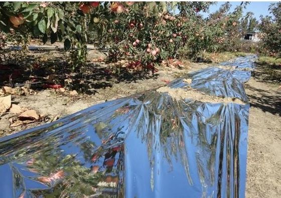 Парник яблони фильм земледелия 12 микронов Biodegradable